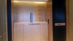 Hana (D10), Condominium #482796791